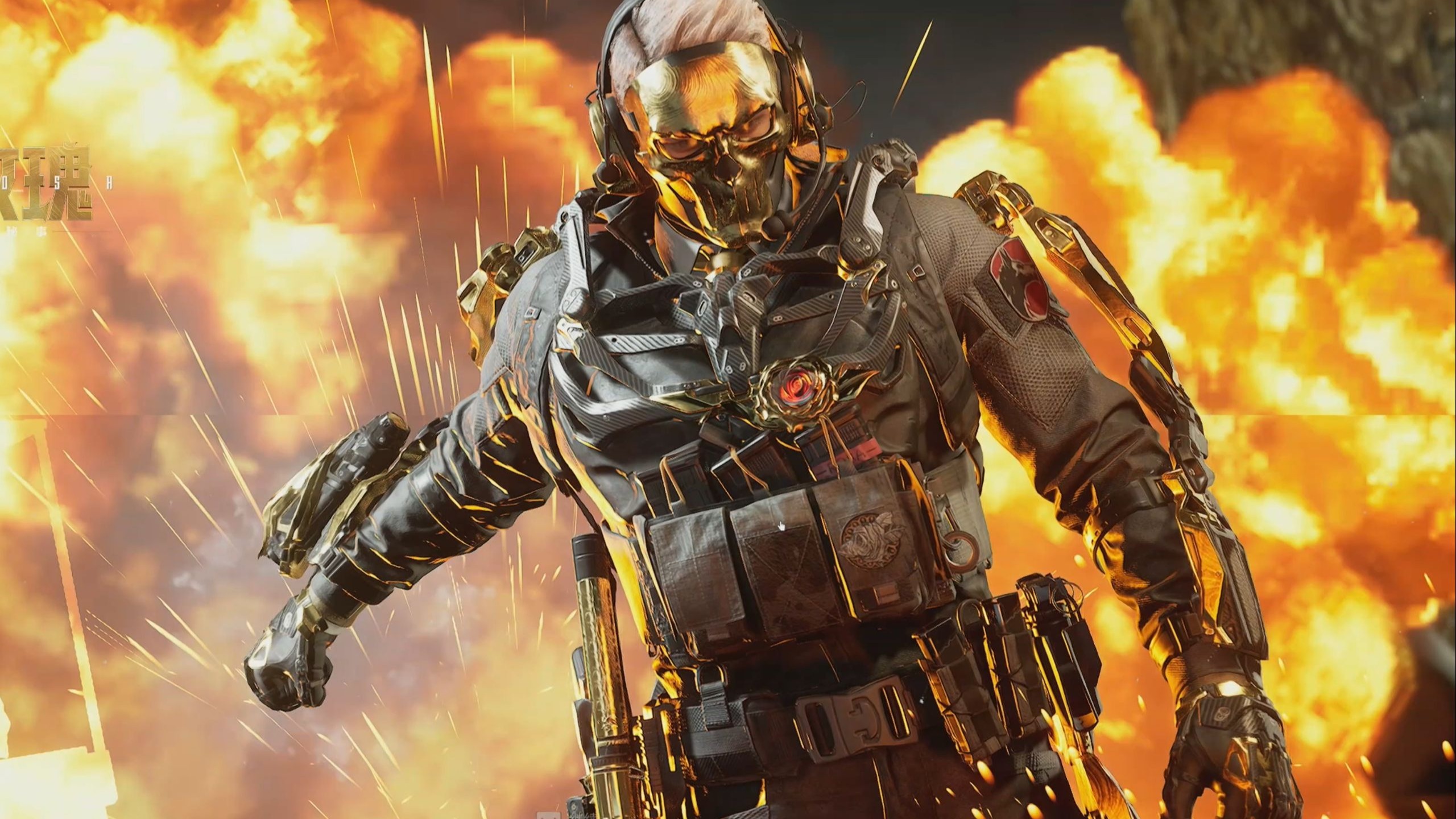 皮特森VS 皮特森VS