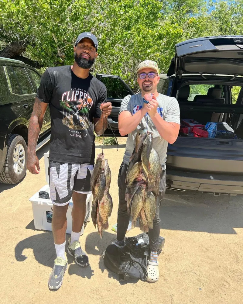 理层提供了 理层提供了